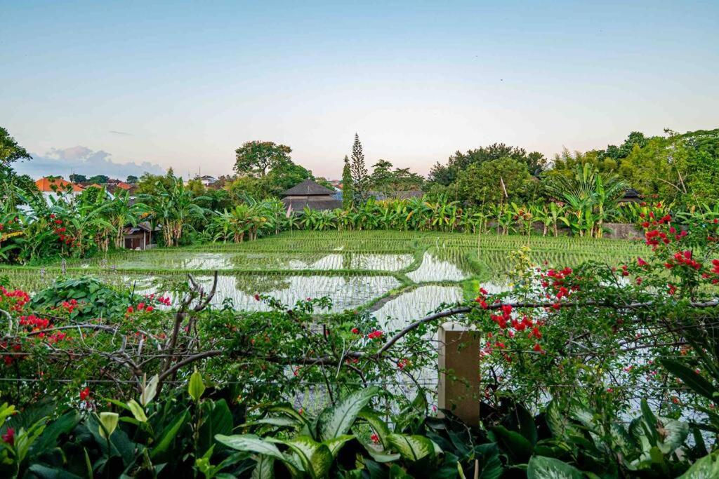 Villa Mimpi Nyata Чангу Екстер'єр фото
